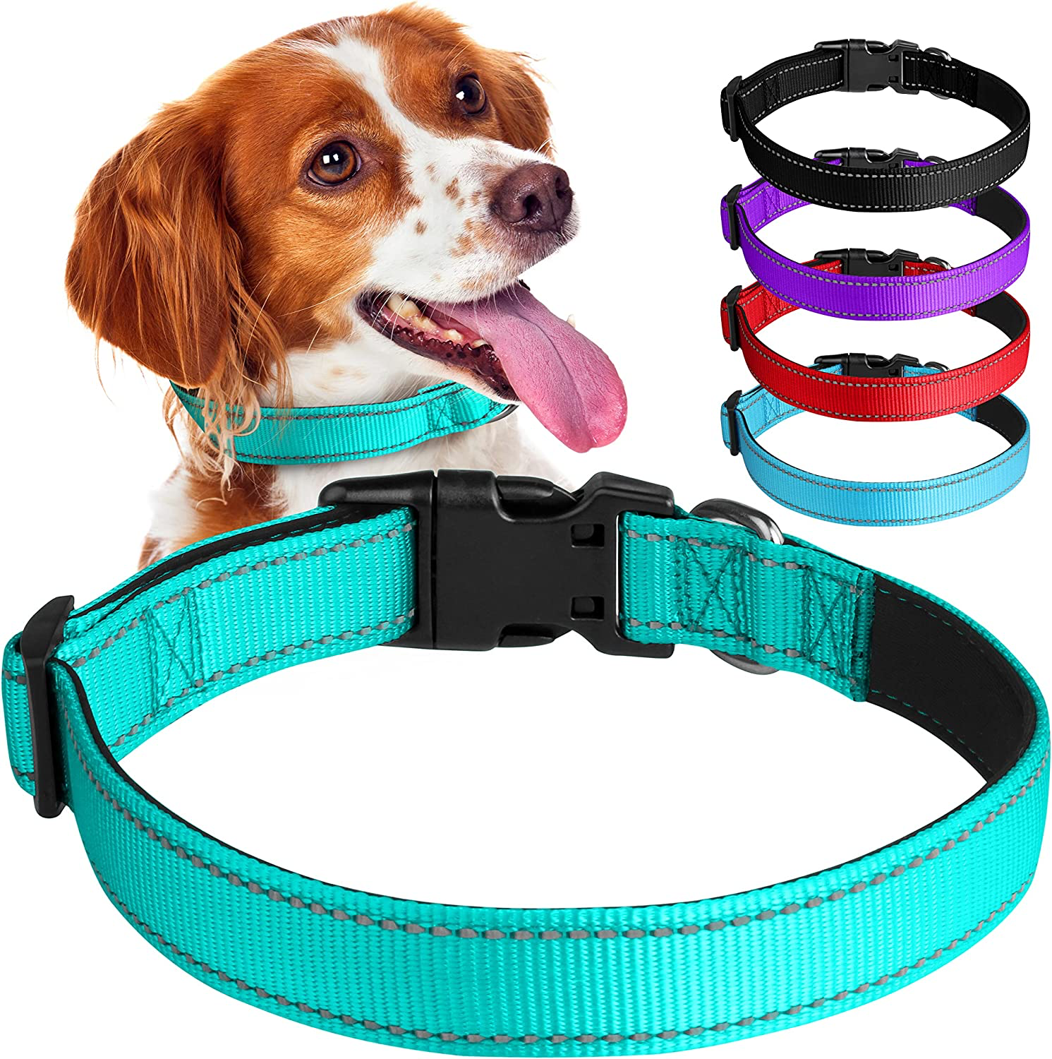 GEREFEREN Reflective Dog Collar with Buckle